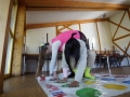 Twister26