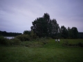 SEB4779