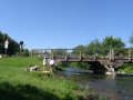 DSC00191