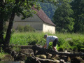 DSC00194