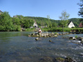 DSC00200
