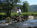 DSC00202