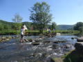 DSC00207