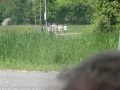 DSC00270