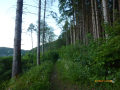 P1050038