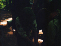 imm004_10A
