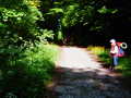 imm006_13