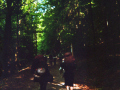 imm007_14