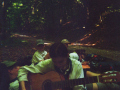 imm008_17