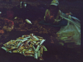 imm011_21