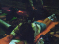 imm012_22