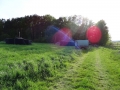 DSC04306