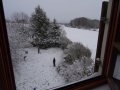 DSC03905