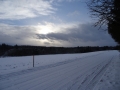 DSC03908
