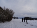 DSC03911