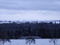 DSC03925