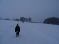 DSC03934