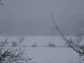DSC03950