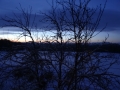 DSC03999