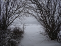DSC04013