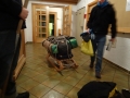 DSC04017