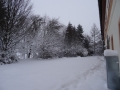 DSC04153